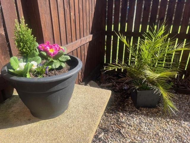 Ground Floor Apartment With Garden Glasgow Luaran gambar